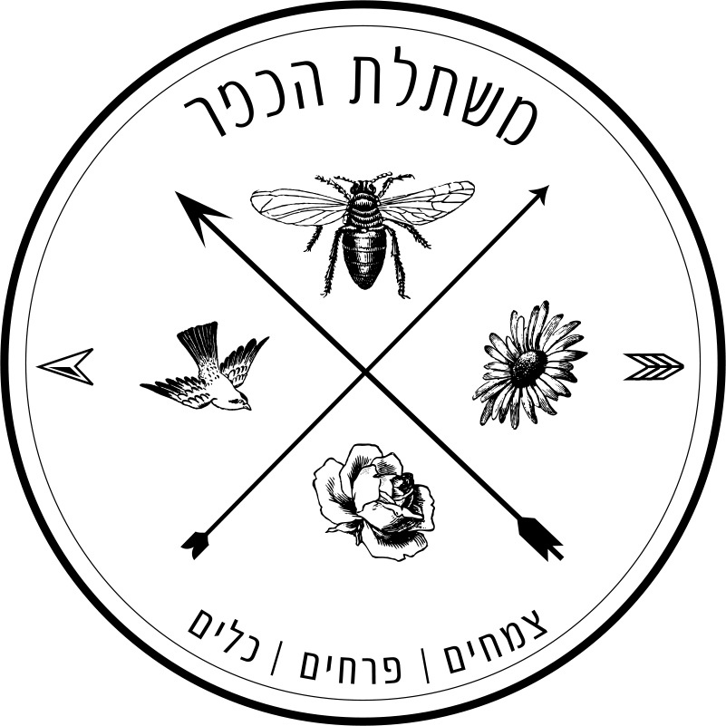 The New Village Nursery